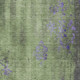 257528515