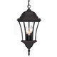 Three Light Matte Black Carousel Lantern Hanging Light
