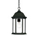 Matte Black Glass Lantern Hanging Light