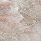 10' X 14' Taupe And Gray Floral Washable Indoor Outdoor Area Rug