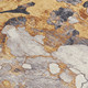 3' X 5' Gold And Charcoal Abstract Washable Indoor Outdoor Area Rug