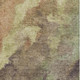 251509061