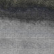 251517664