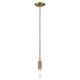 Dull Gold Mini Pendant Hanging Light