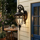 Dark Brown Hanging Goblet Wall Light