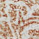 286210650
