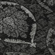 290669816