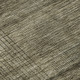 290676397