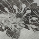 306701688