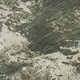 306730994