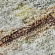286424743