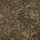 302737708