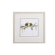 Set of Four Colorful Birds on Branches Wall Art