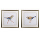 294320325