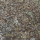 264068533