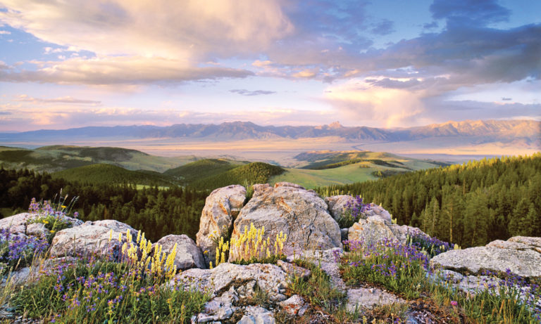 Sunrise Window Well Liner