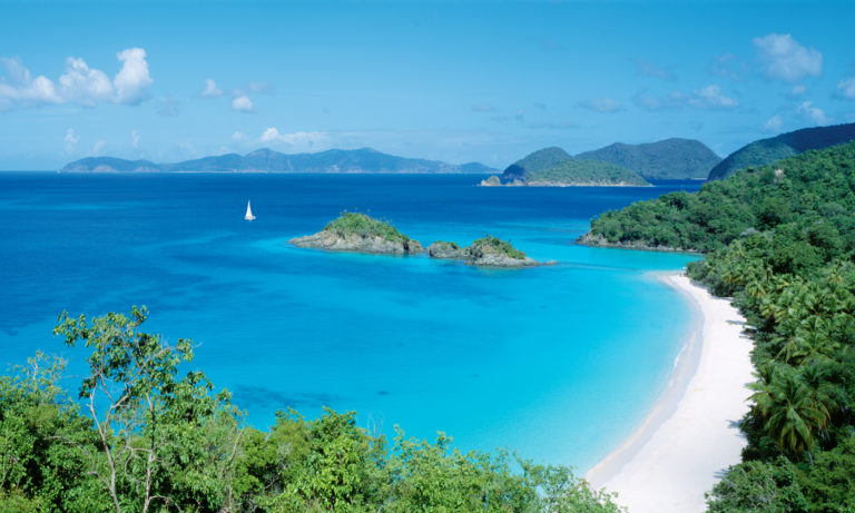 Island Cover Window Well Liner