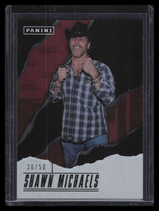 2017 Panini Father's Day Foil SM Shawn Michaels 30/50