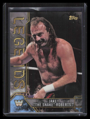 2017 Topps Legends of WWE Silver 46 Jake "The Snake" Roberts 14/99