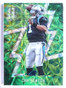 DELETE 23249 2016 Panini Spectra Neon Green Refractor Cam Newton #D21/25 #74