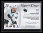 2021-22 SP Authentic Sign of the Times SOTTHE Tomas Hertl Auto