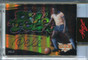 2022 Leaf Vibrance Street Signs ssp1 Pele Auto