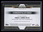 2021 Topps Triple Threads Jumbo Relics Sapphire SJRARI Anthony Rizzo Jersey 1/3