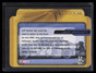 2002 VIP Rear View Mirror Die Cuts rm5 Jeff Gordon