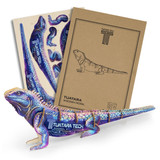 A vibrant, multicoloured wooden model of a tuatara next to its packaging and assembly instructions.