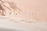 Manhattan Martini Glass 285ML Set of 6 Gift Boxed