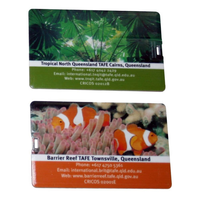 Two plastic cards featuring tropical designs, one with green foliage and the other with clownfish, each with a slot for a USB connector.