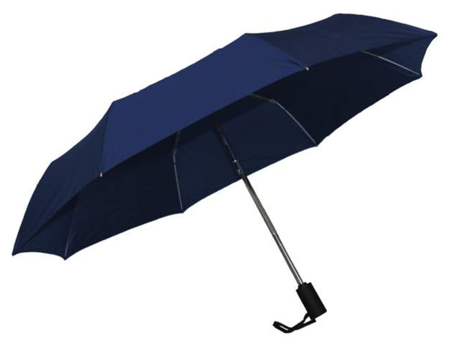 A navy blue umbrella with a silver handle and a black strap, featuring a logo on the handle.