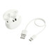 True wireless earbuds in a white case accompanied by a USB-C charging cable.