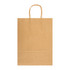 A large, kraft paper bag with a flat base and twine handles, designed for carrying goods.