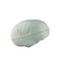 A squishy brain-shaped stress reliever in light grey, featuring realistic detailing and a smooth texture.