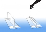 Retail Shelf Dividers: The Clear Choice in POP Merchandising
