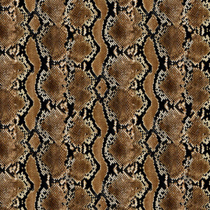 Brown Snake Skin Brown Snake Skin