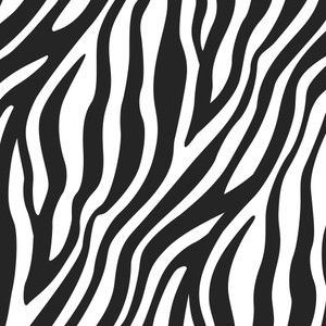 Zebra Stripes