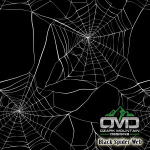 Black Spider Web
