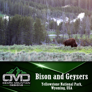 Bison and Geysers Poster Print Bison and Geysers Poster Print