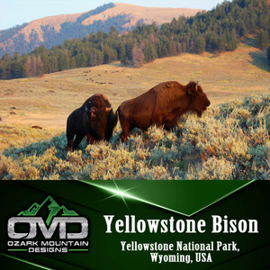 Yellowstone Bison Poster Print Yellowstone Bison Poster Print