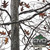 Snowy Camo Mini Snowy Camo Mini