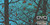 Snowy Camo Mini Teal Snowy Camo Mini Teal