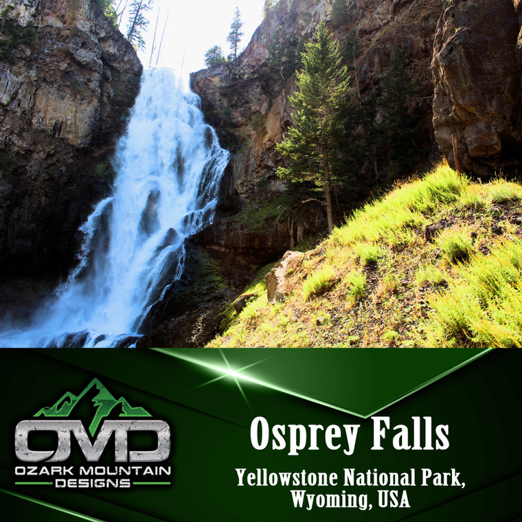 Osprey Falls Poster Print