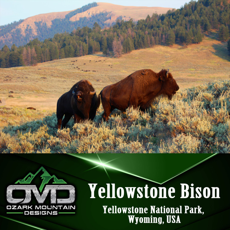 Yellowstone Bison Poster Print - Ozark Mountain Designs sticker-pack-5660-wyoming-state-outline-bison