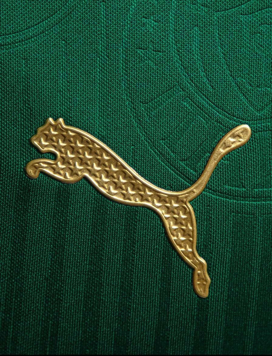 Palmeiras 24/25 Stadium Men's Home Shirt
