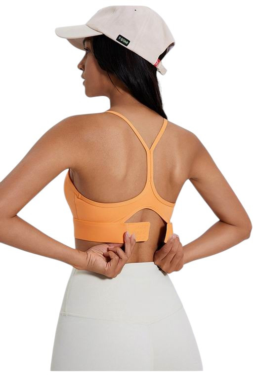 Alo Women's Multiple Colors Line Up Bra