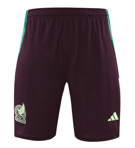 Mexico 2024 Men's Green Training Shirt