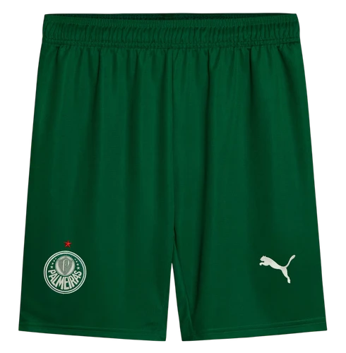 Palmeiras 25/26 Stadium Men's Away Shirt