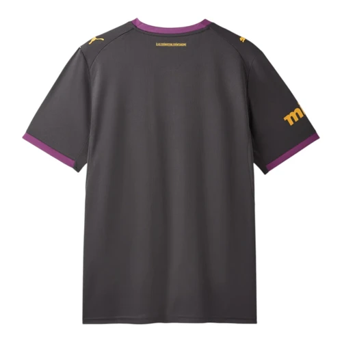 Galatasaray 26/27 Stadium Men's Third Shirt